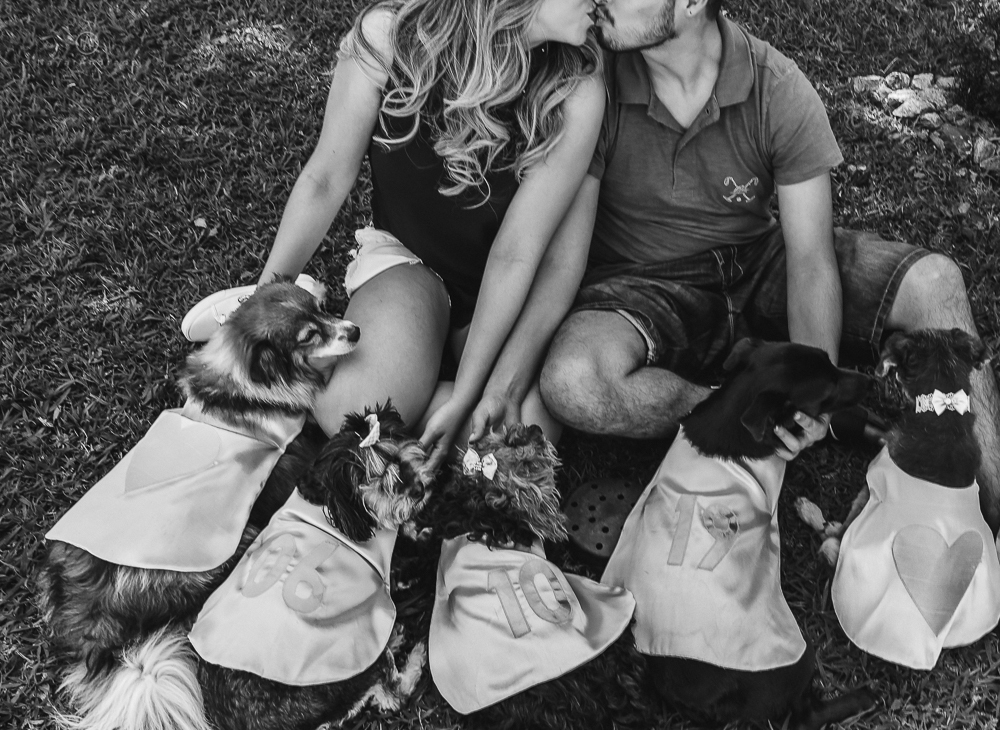 Ensaio pre wedding casal com cachorros, varios cachorrinhos