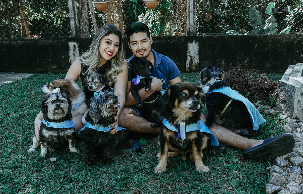 Ensaio pre wedding casal com cachorros, varios cachorrinhos