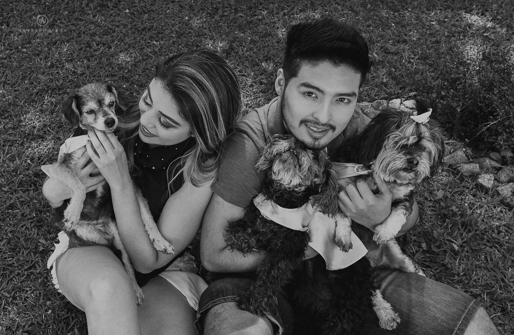 Ensaio pre wedding casal com cachorros, varios cachorrinhos
