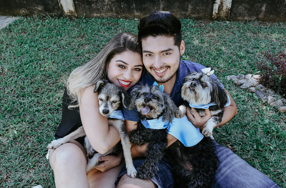 Ensaio pre wedding casal com cachorros, varios cachorrinhos