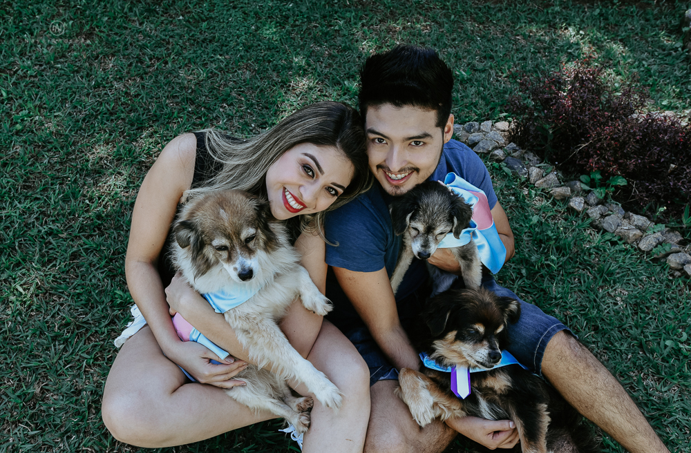 Ensaio pre wedding casal com cachorros, varios cachorrinhos