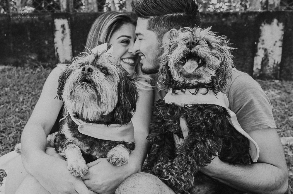 Ensaio pre wedding casal com cachorros, varios cachorrinhos