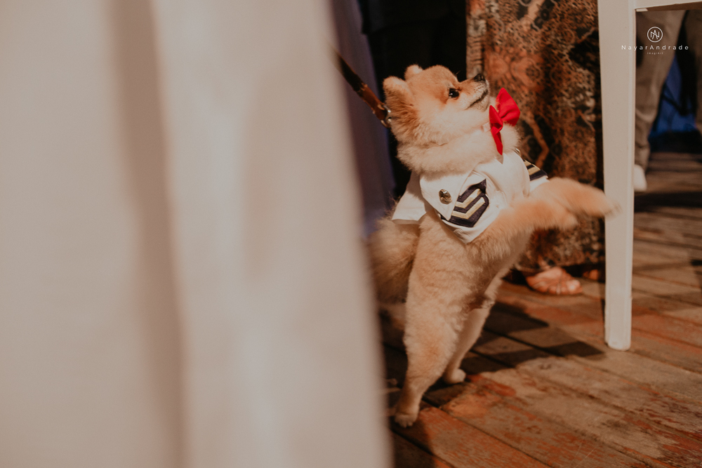 casamento feito em paraty no rio de janeiro em um dia chuvoso na pousada apple paraty. noiva com vestido sereia e noivo de terno azul