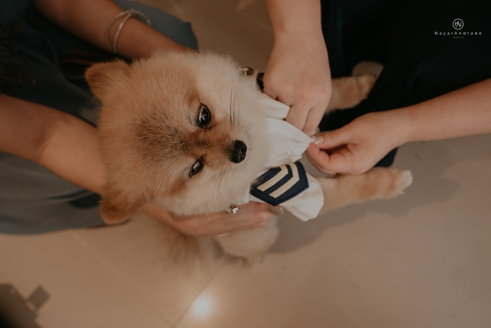 casamento feito em paraty no rio de janeiro em um dia chuvoso na pousada apple paraty. noiva com vestido sereia e noivo de terno azul