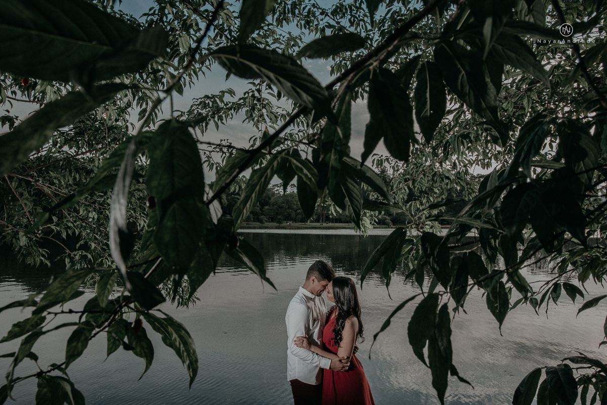 ensaio romantido pre wedding de casal no parque do ibirapuera em sao paulo em um fim de tarde com a fotografa nayara andrade de santos