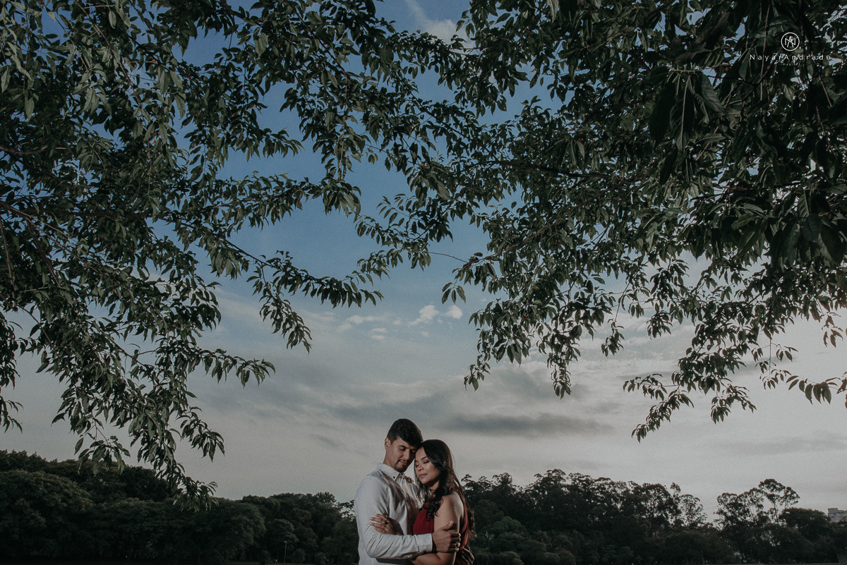 ensaio romantido pre wedding de casal no parque do ibirapuera em sao paulo em um fim de tarde com a fotografa nayara andrade de santos