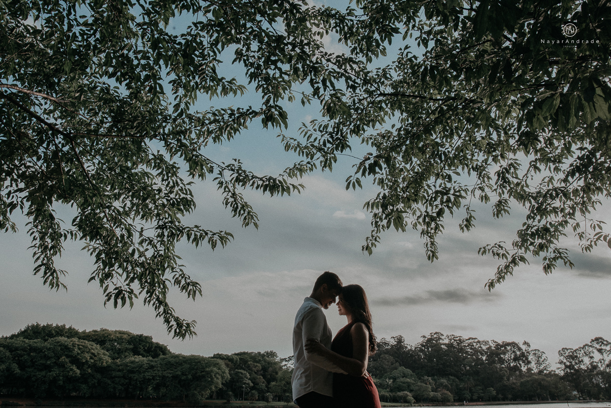 ensaio romantido pre wedding de casal no parque do ibirapuera em sao paulo em um fim de tarde com a fotografa nayara andrade de santos