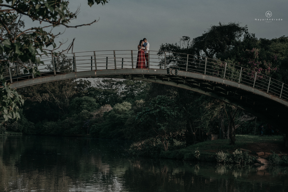 ensaio romantido pre wedding de casal no parque do ibirapuera em sao paulo em um fim de tarde com a fotografa nayara andrade de santos