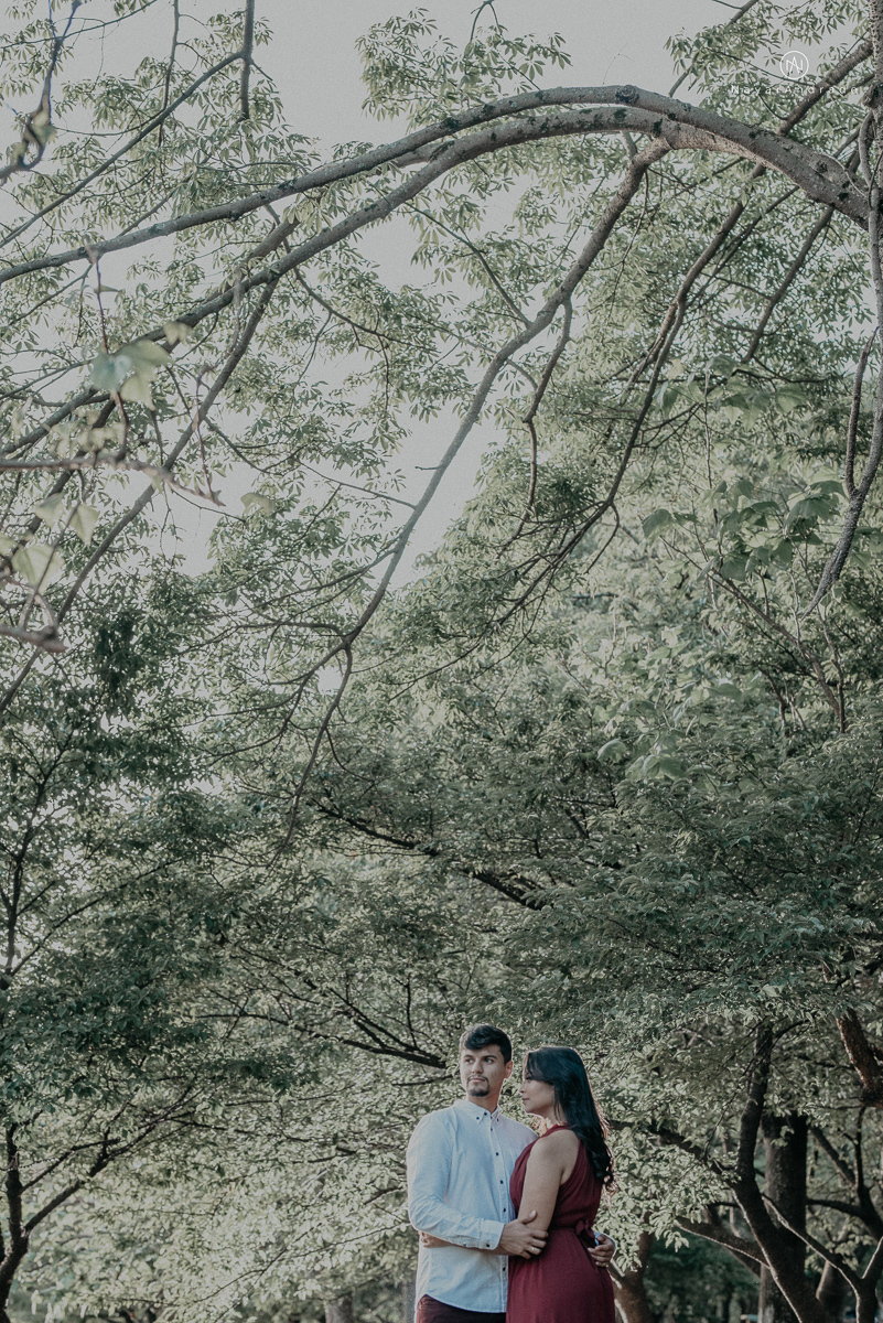 ensaio romantido pre wedding de casal no parque do ibirapuera em sao paulo em um fim de tarde com a fotografa nayara andrade de santos