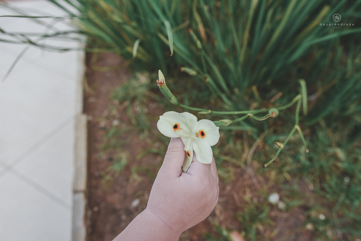 fotos lifestyle de acompanhamento familiar filhos meninos mae e pai mostrando o desenvolvimento natural de uma familia