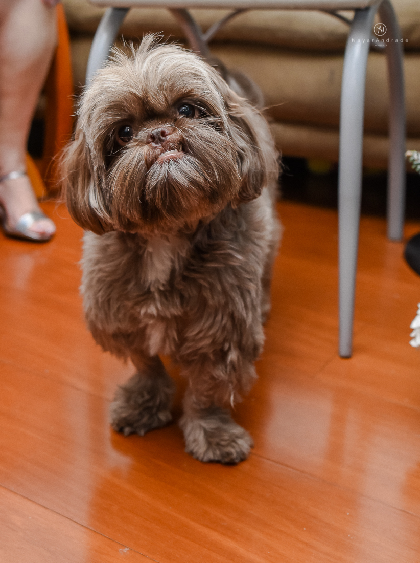 Festa de aniversario de 80 anos comemoracao em familia no clube sirio libanes em santos assessoria jean michel decoracao boulevar flores 