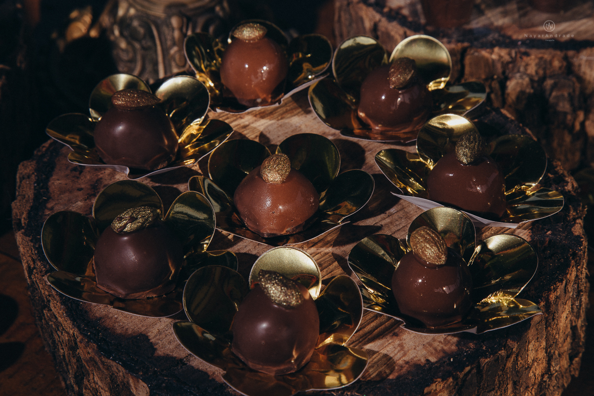 Casamento ao ar livre no campo tematico pirata e princesa no jardim das orquideas em praia grande decoraçao marsala vermelho e madeira rustica
