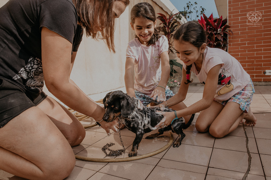 irmãs meninas irmãos brincando no parque