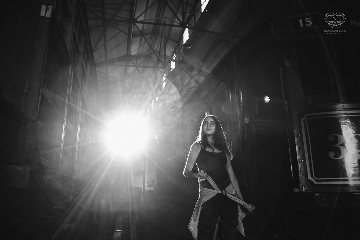 ensaio debutante  15 anos  xv tematico com roupa de princesa em um salao classico