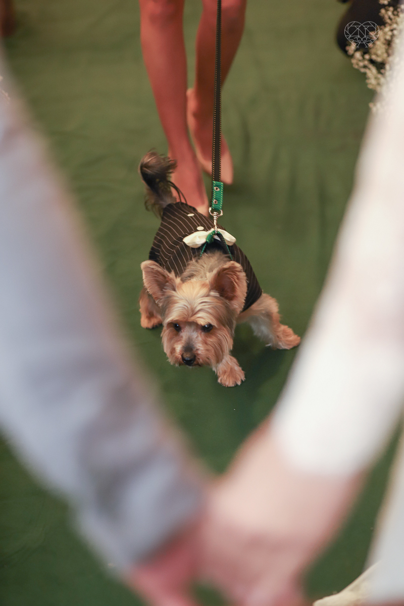 casamentode dia em Santos feito pela fotografa mais premiada da regiao nayara andrade. noivos casando de dia na baixada santista