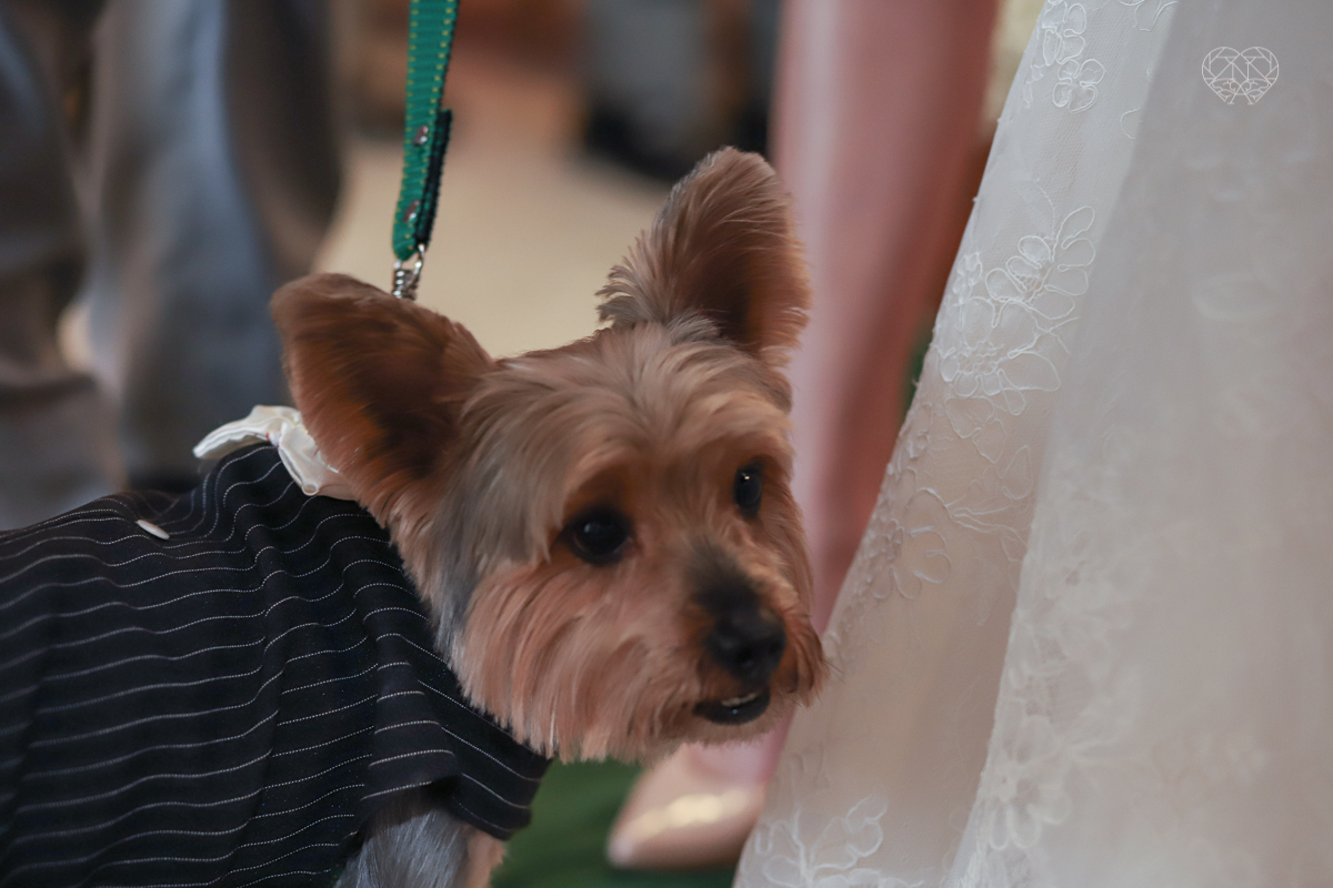 casamentode dia em Santos feito pela fotografa mais premiada da regiao nayara andrade. noivos casando de dia na baixada santista
