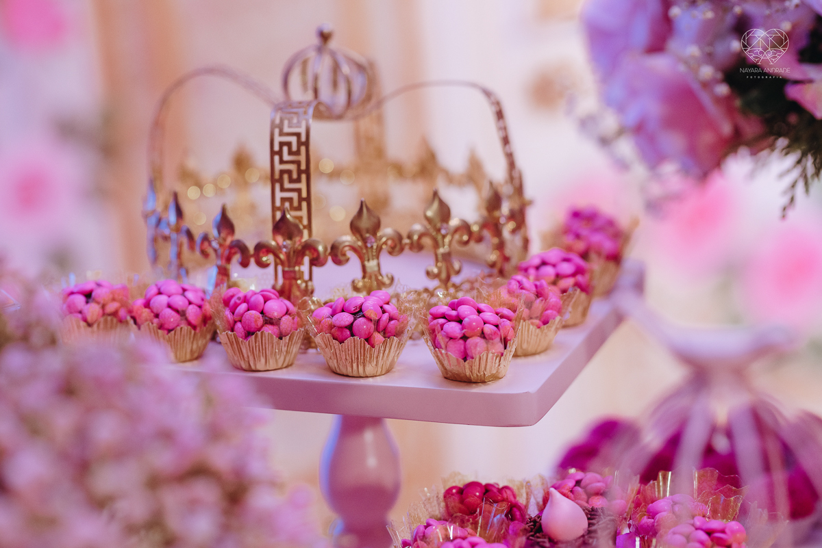 fotografia de aniversaio infantil em santos sao paulo praia grande e sao vicente fotografa nayara andrade premiada com o oscar de fotografia de camilia festa de um ano