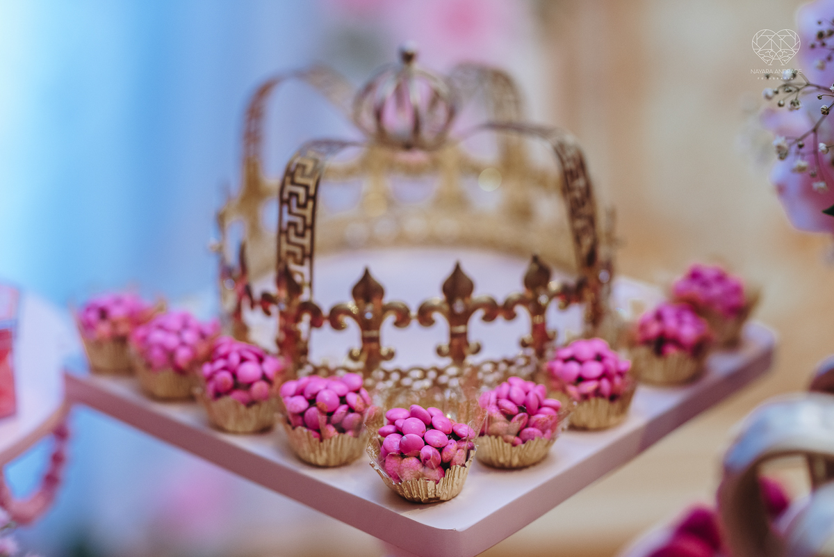 fotografia de aniversaio infantil em santos sao paulo praia grande e sao vicente fotografa nayara andrade premiada com o oscar de fotografia de camilia festa de um ano