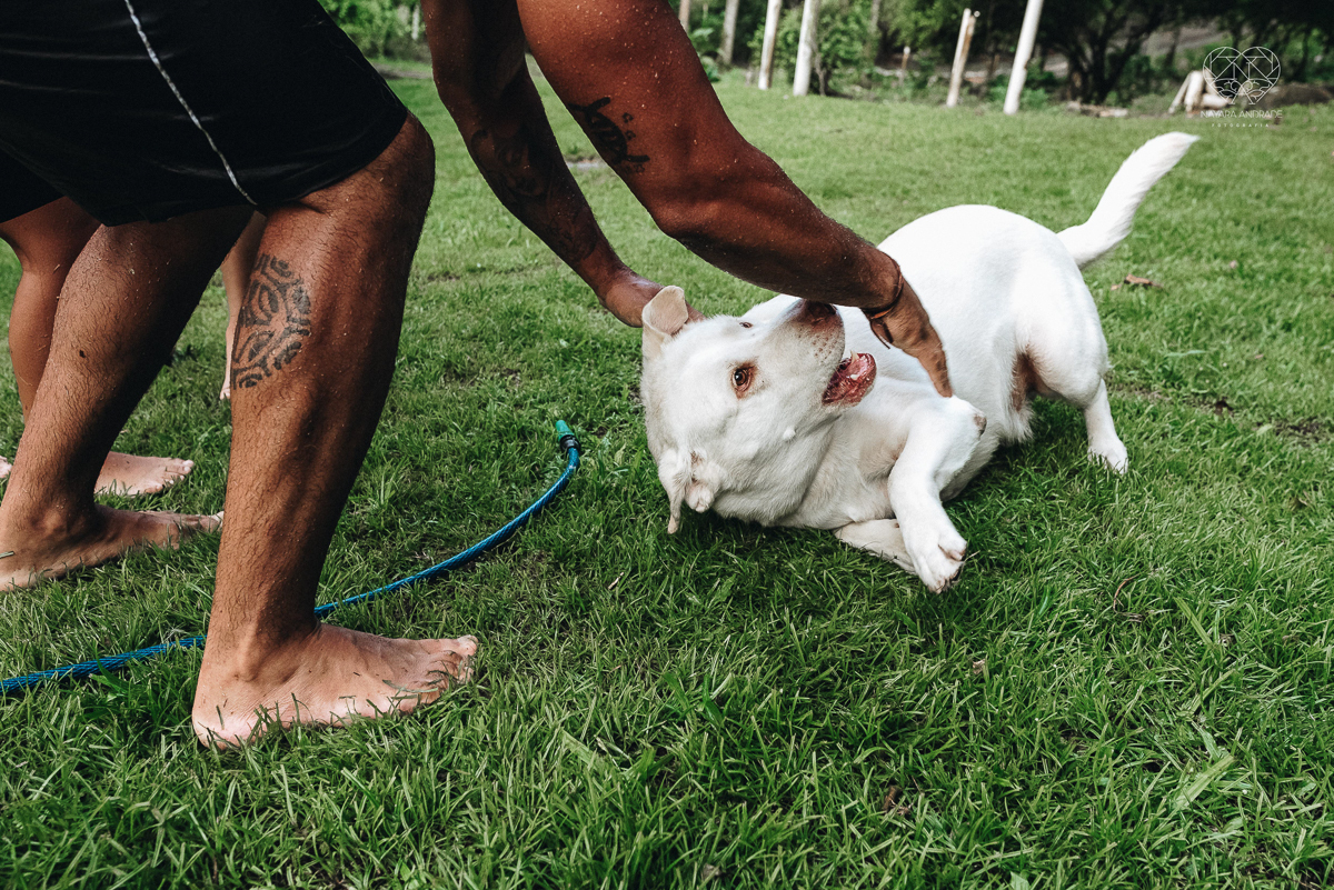 ensaio familia lifestyle brincando de mangueira no quintal de casa com o papai crianças e o cachorro fotografado pela fotografa premiada nayara andrade nayara andrade fotografia