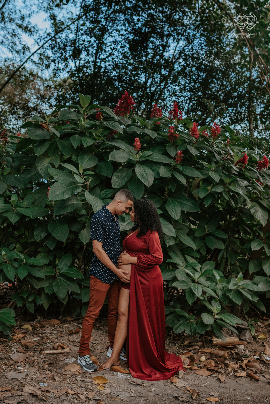 ensaio gestante ao ar livre com vestido longo  no verde arvore campo e gramas feito pela fotografa premiada nayara andrade fotografia de santos litoral de sao paulo