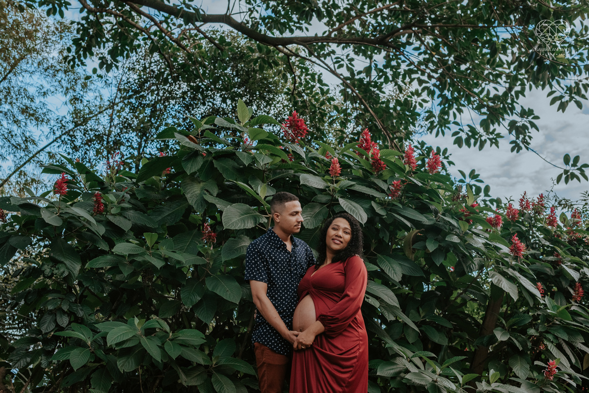 ensaio gestante ao ar livre com vestido longo  no verde arvore campo e gramas feito pela fotografa premiada nayara andrade fotografia de santos litoral de sao paulo