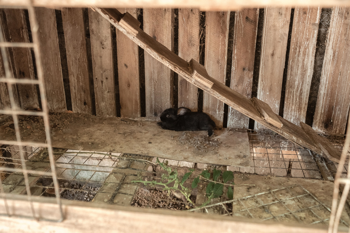ensaio documental de familia feito com avo netos e geraçao de filhos em casa pela fotografa nayara andrade 
