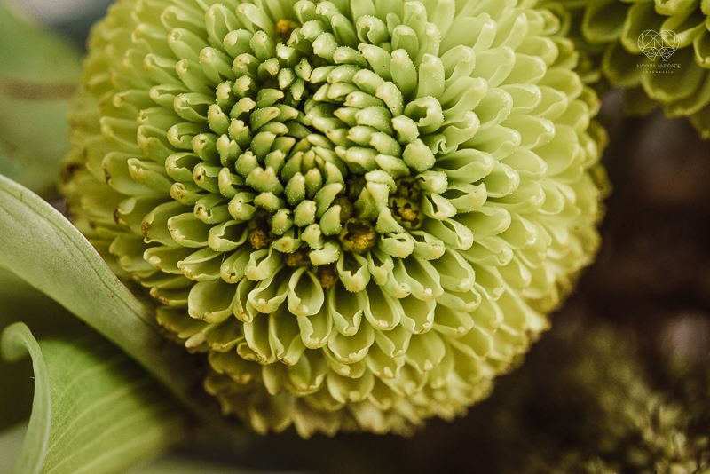 decoração rustica para casamento na praia do guaruja litoral de sao paulo feit pela fotografa premiada Nayara Andrade Fotografia