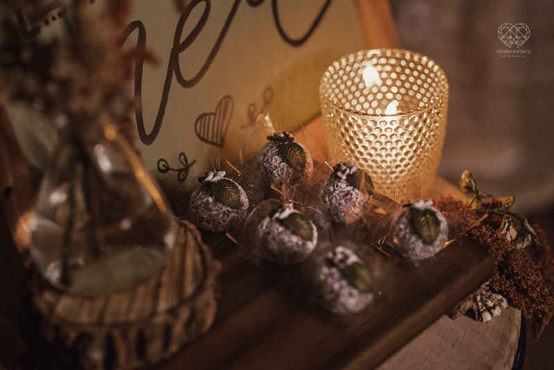 casamento editorial na praia do guaiuba guaruja decoraçao rustica mini wedding elopment fotografado pela fotografa nayara andrade fotografia prenmiada  no brasil e no mundo