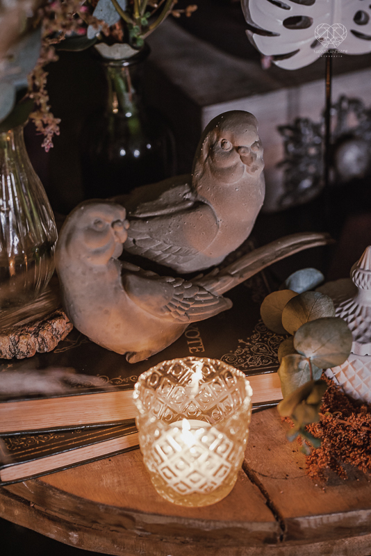 casamento editorial na praia do guaiuba guaruja decoraçao rustica mini wedding elopment fotografado pela fotografa nayara andrade fotografia prenmiada  no brasil e no mundo