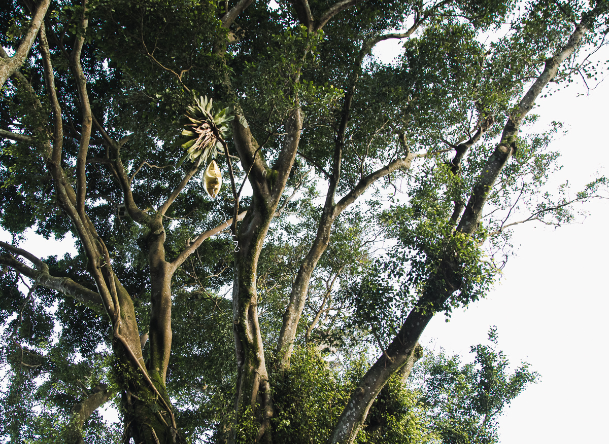 casamento de dia no por do Sol em Santos Sao Vicente no espaço Plataforma fotos emocionanete pela fotografa premiada internacionalmente Nayara Andrade fotos de inspiraçao