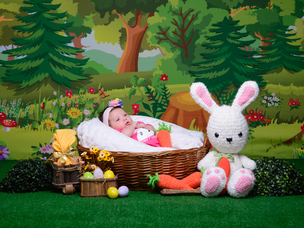 Sessão de Páscoa, coelhinho, cenoura, ovos de páscoa, chocolate, floresta, 