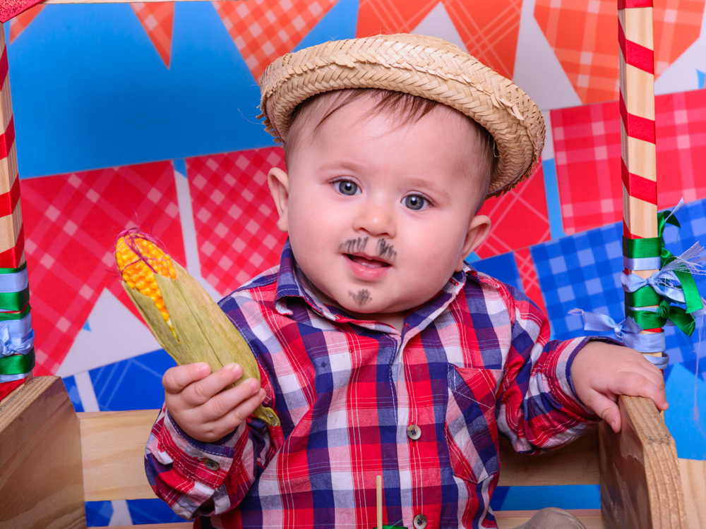 Sessão Festa Junina, xadrez, milho, bigode, caipira, bandeirinhas.