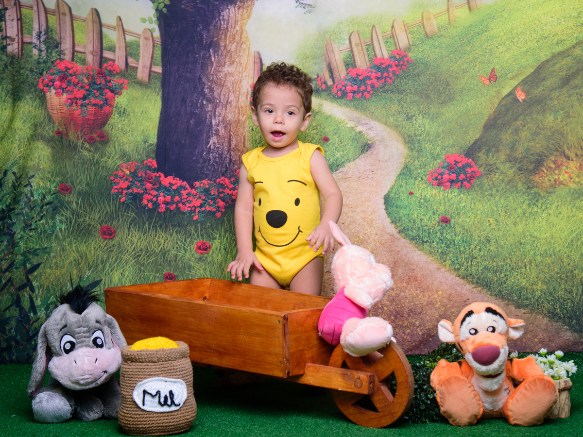 fantasia, castelo, disney, sessão infantil, sessão aniversário, inspiração foto infantil, ursinho, ursinho pooh, bebês fofos, fotos de bebês, floresta, floresta encantada