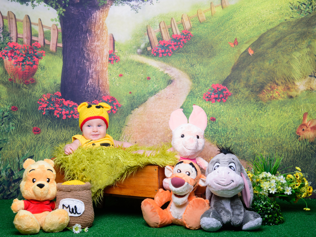 fantasia, castelo, disney, sessão infantil, sessão aniversário, inspiração foto infantil, ursinho, ursinho pooh, bebês fofos, fotos de bebês, floresta, floresta encantada