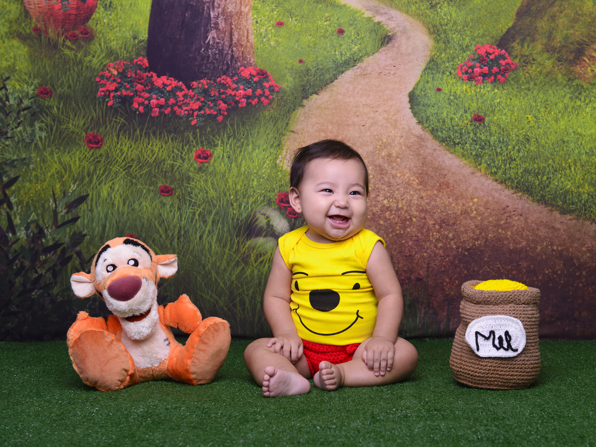 fantasia, castelo, disney, sessão infantil, sessão aniversário, inspiração foto infantil, ursinho, ursinho pooh, bebês fofos, fotos de bebês, floresta, floresta encantada, pote de mel 