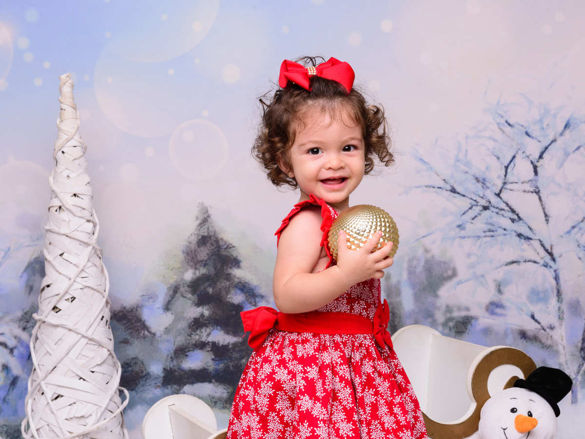 ATAL, NEVE, FELIZ NATAL, SESSÃO DE NATAL, FOTOS NATAL, BONECO DE NEVE, ELFO, ASSISTENTE DO PAPAINOEL, GUINOMO, ARVORE DE NATAL, TRENÓ