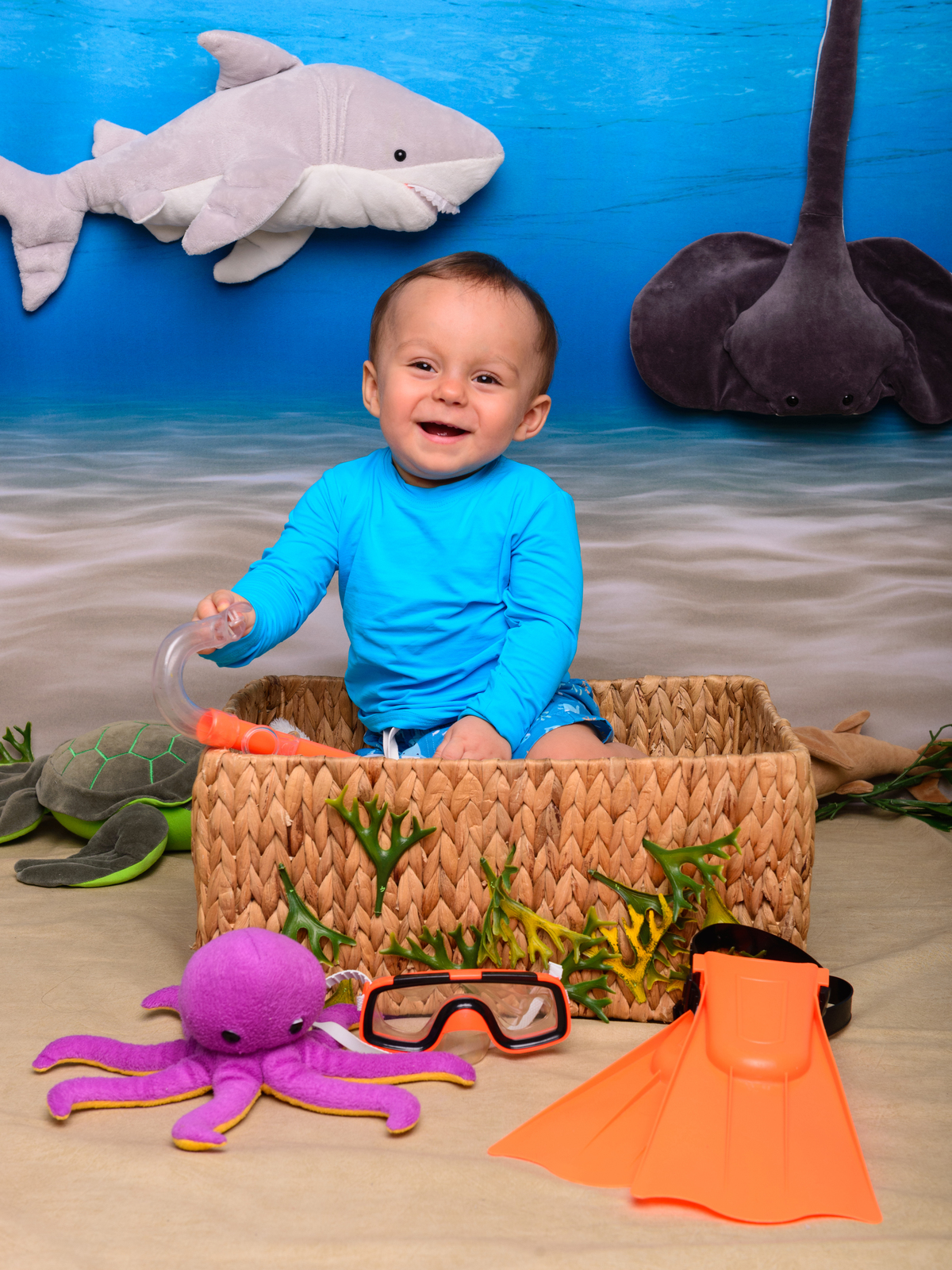 Fundo do mar, peixe, mergulho, aquario 