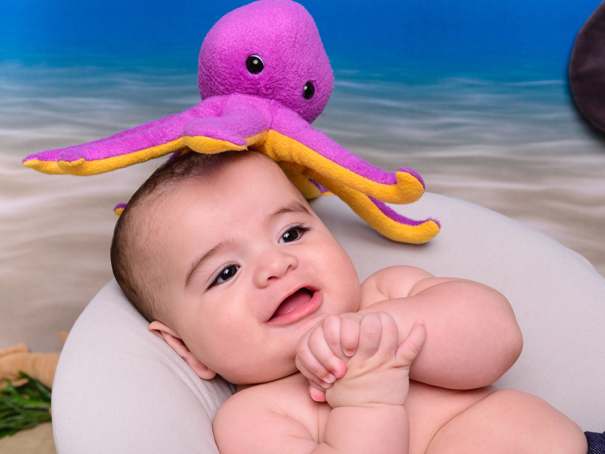 Fundo do mar, peixe, mergulho, aquario 