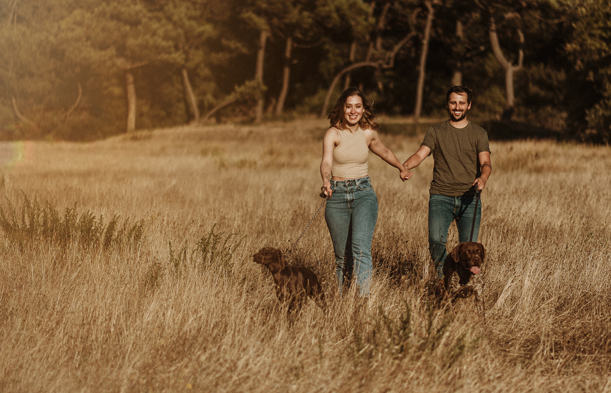 melhores fotografos de aveiro; top 10 fotografos de casamento de aveiro; melhores fotografias de casamento; aveiro; sessão de solteiros Aveiro; sessão de solteiros na Torreira; melhor fotografo portugal; sessão na praia; sessão cães; braco alemão