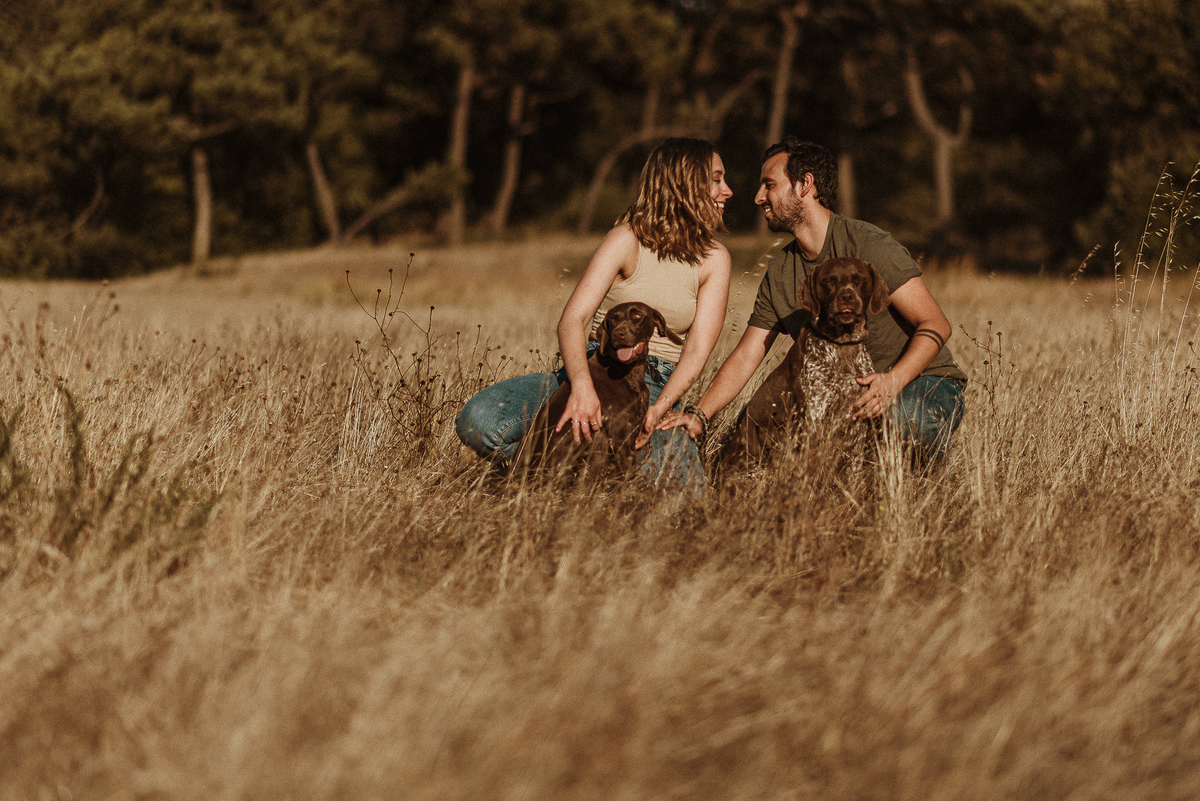 melhores fotografos de aveiro; top 10 fotografos de casamento de aveiro; melhores fotografias de casamento; aveiro; sessão de solteiros Aveiro; sessão de solteiros na Torreira; melhor fotografo portugal; sessão na praia; sessão cães; braco alemão