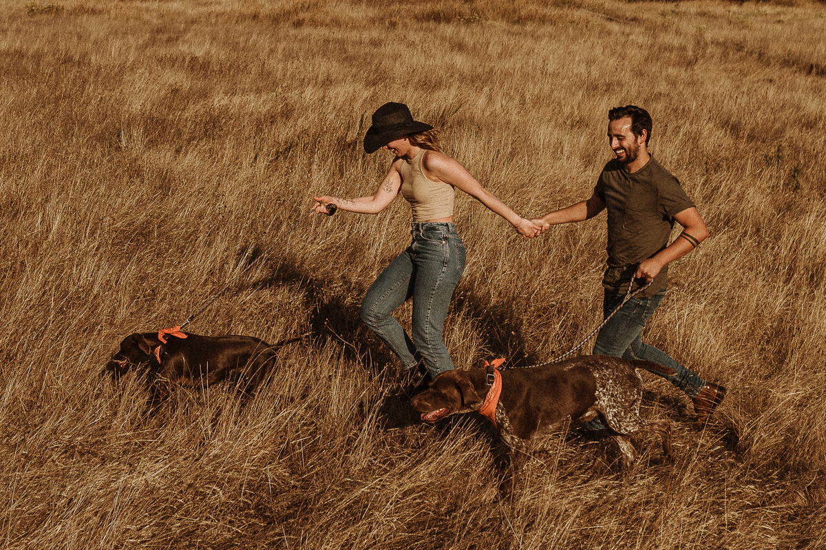 melhores fotografos de aveiro; top 10 fotografos de casamento de aveiro; melhores fotografias de casamento; aveiro; sessão de solteiros Aveiro; sessão de solteiros na Torreira; melhor fotografo portugal; sessão na praia; sessão cães; braco alemão