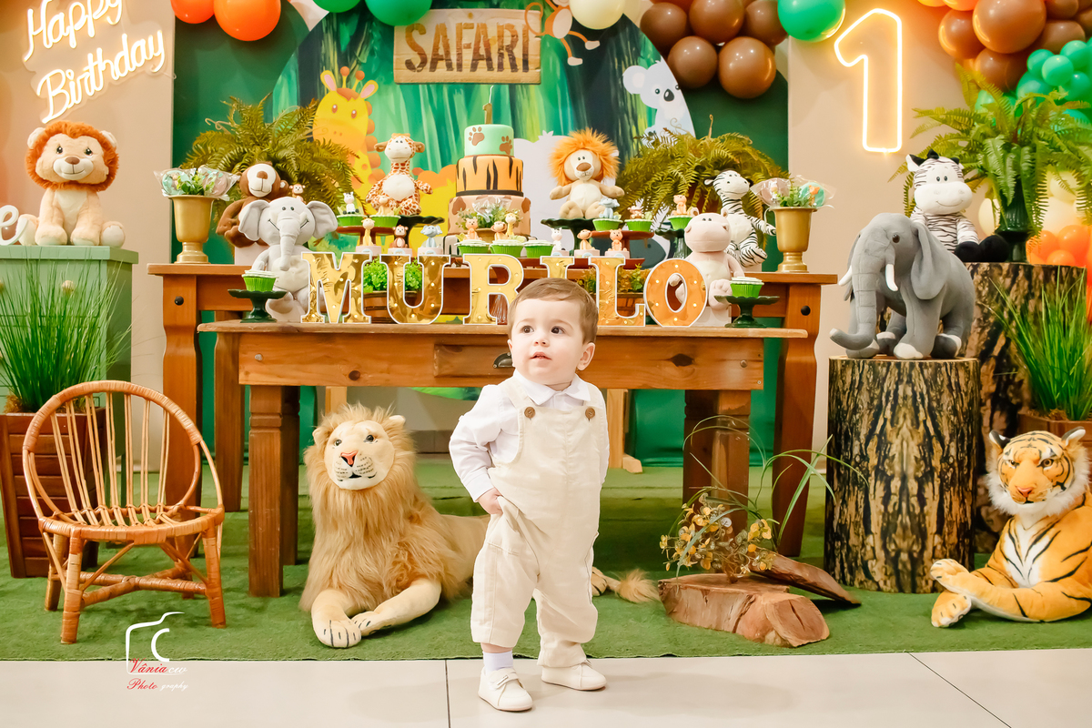 fotografa de festa infantil Novo Hambrugo