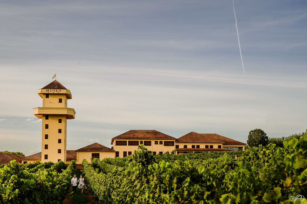 Ensaio pré casamento da Natália e do Lucas, fotografado pelo fótografo Jonaran Diego na vinícola miolo em bento gonçalves RS