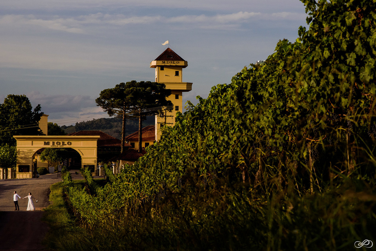 Ensaio pré casamento da Natália e do Lucas, fotografado pelo fótografo Jonaran Diego na vinícola miolo em bento gonçalves RS
