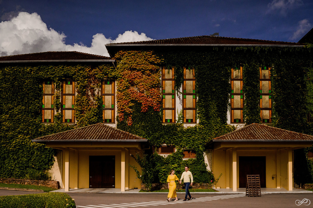 Ensaio pré casamento da Natália e do Lucas, fotografado pelo fótografo Jonaran Diego na vinícola miolo em bento gonçalves RS
