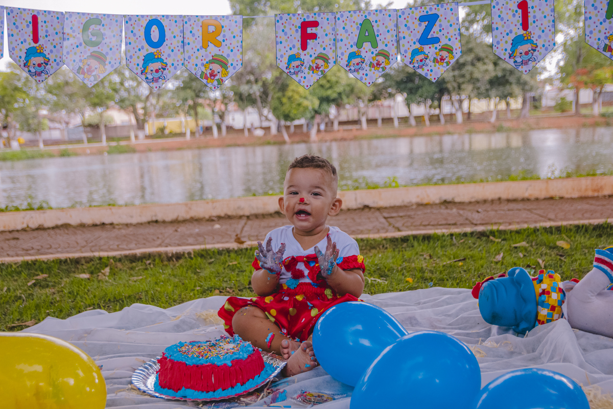 Smash the Cake Higor