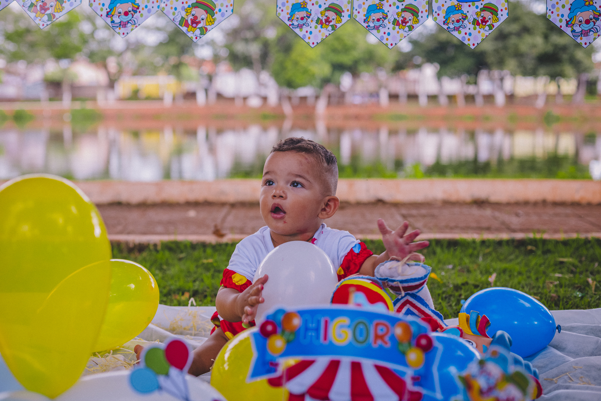 Smash the Cake Higor