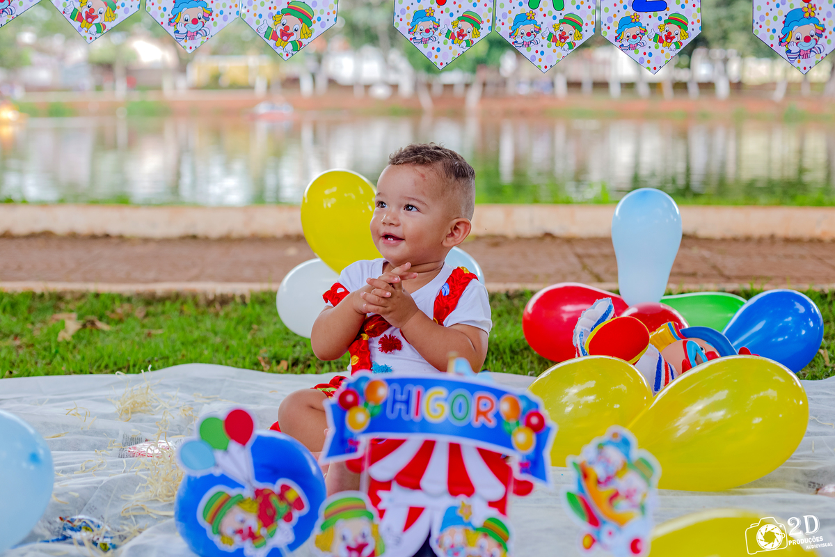 Smash the Cake Higor