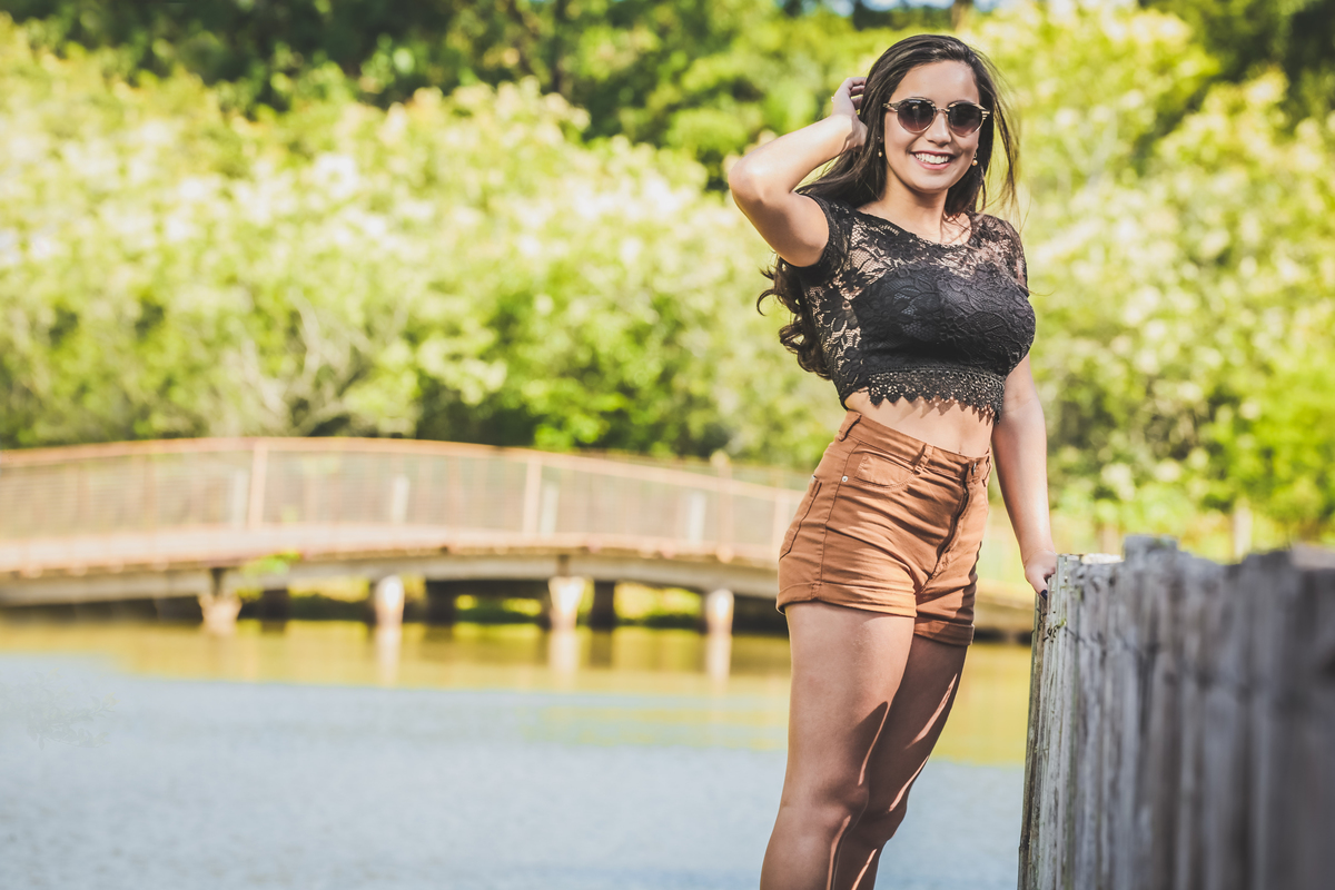 Book de 15 anos