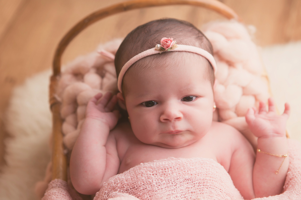 balneario camboriu, bc, camboriu, itajai, itapema, meia praia, tijucas, gaspar, ilhota, 